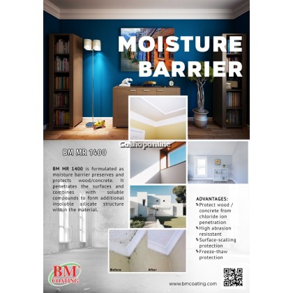BM Coating Moisture Barrier 1L