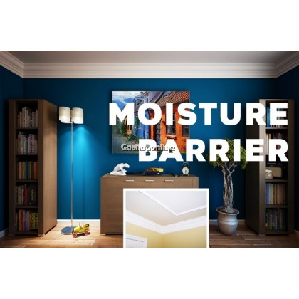 BM Coating Moisture Barrier 1L