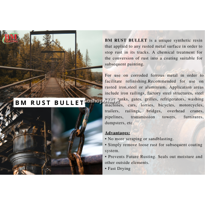 BM Rust Bullet 4L/Can