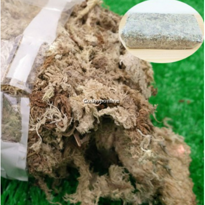 High Quality Sphagnum Moss